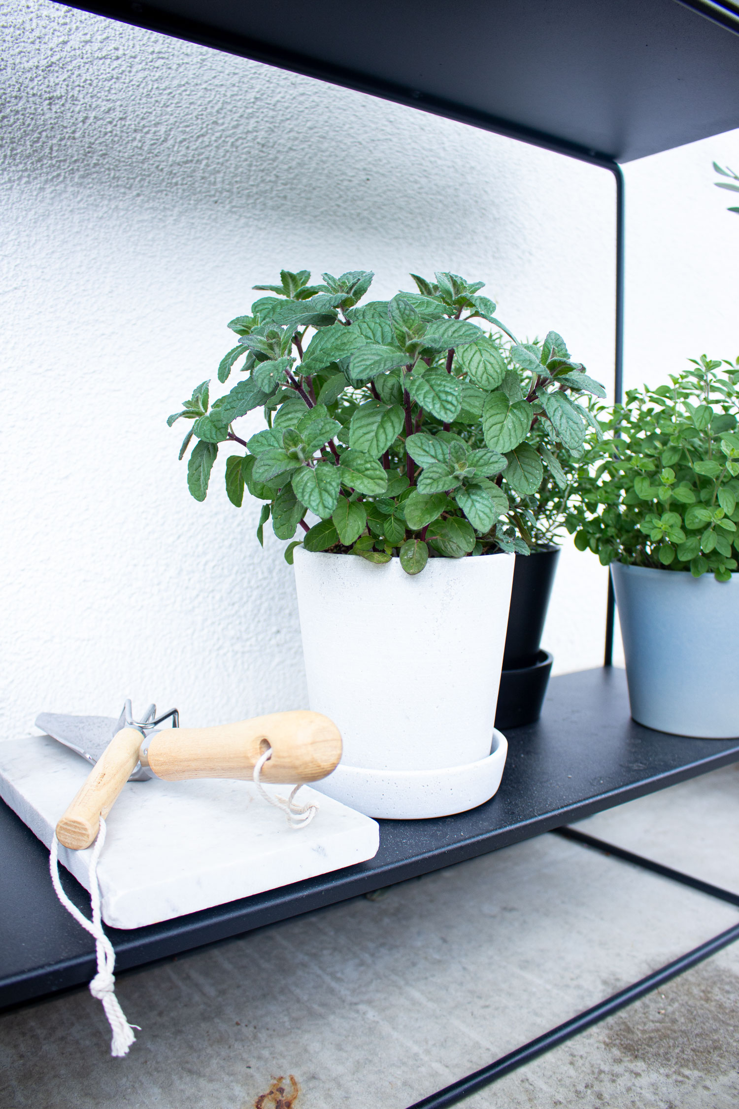 DIY: Kräutergarten auf dem Balkon - SCANDI INSPIRATION